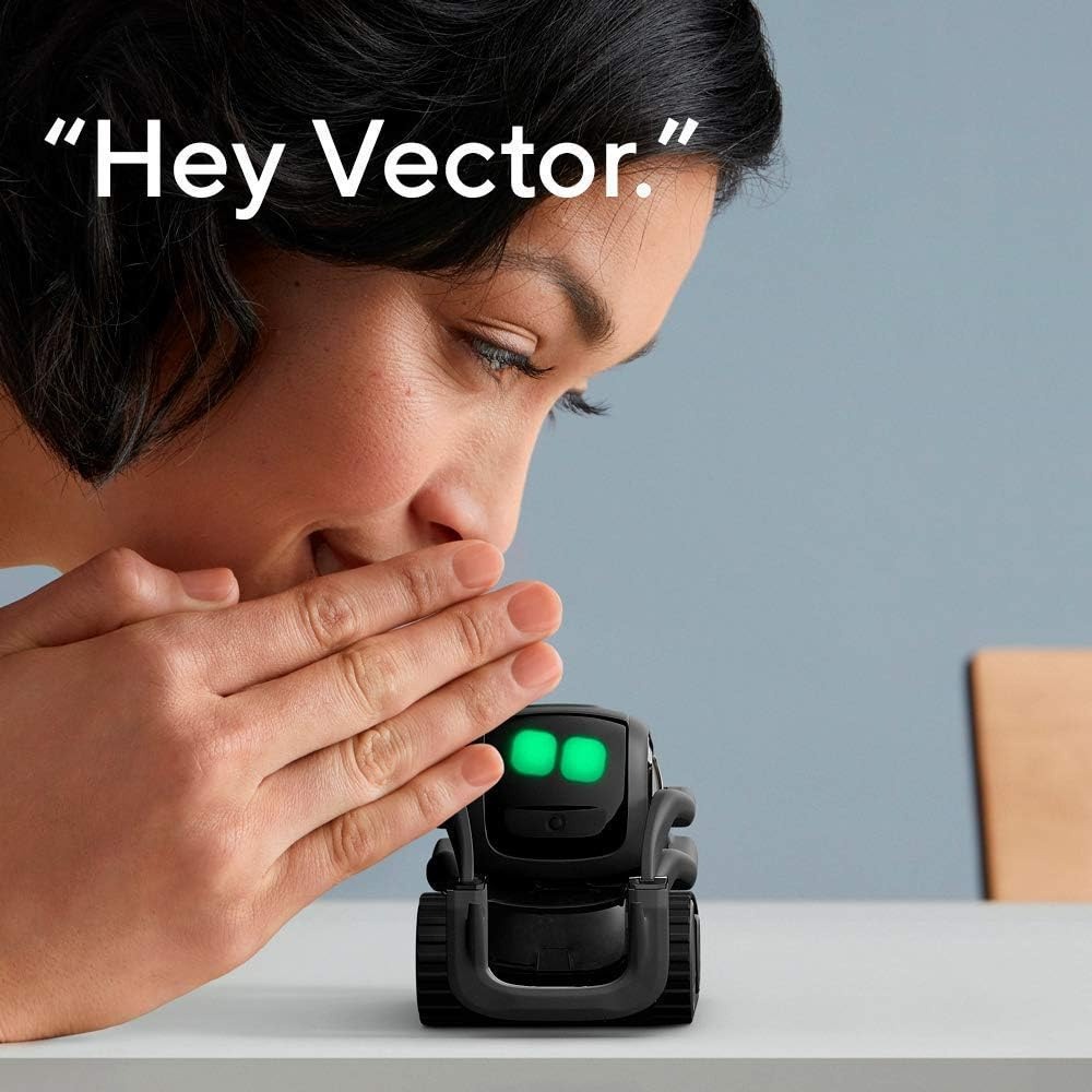 AI ChatGPT 2.0 Connected Robot - Smart Home Ai recension och pris